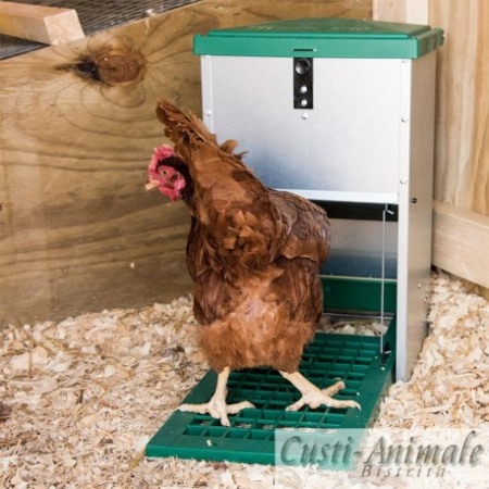 Hranitor automat furajare gaini 12 Kg [3]