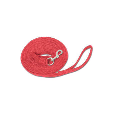 Articole Cai - Echitatie- Sa calarie - Lonja Griffy