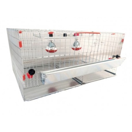 Maternitati, Custi crestere Pui - Maternitate pui de gaina