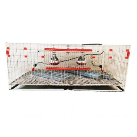 Maternitate pui prepelita [11]