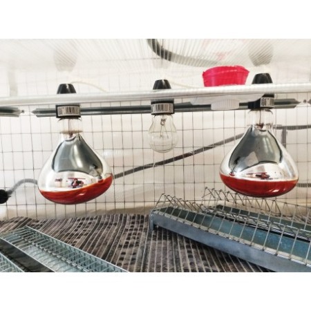 Maternitate pui prepelita [9]