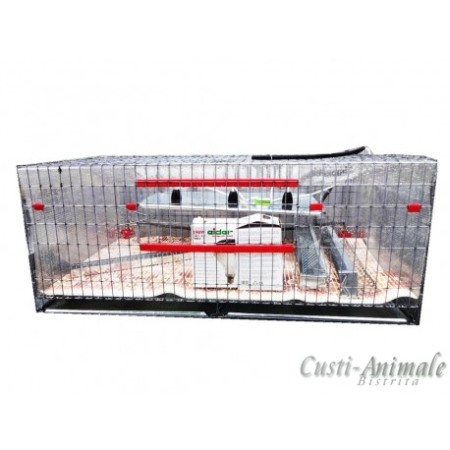 Maternitate pui prepelita [6]