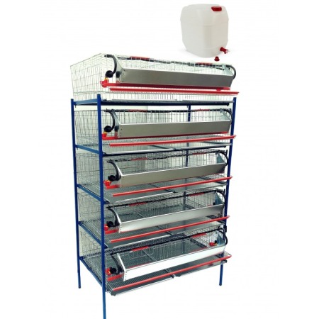 PREPELITE - Modul 5 nivele custi prepelite,  90 cm, 250 capete