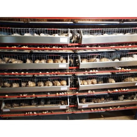 Modul 5 nivele de custi prepelite / 200 cm [7]