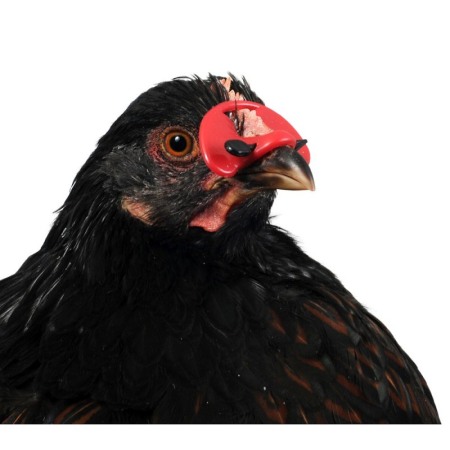 Ochelari Pasari, Set 25 bucati [2]