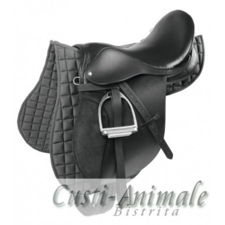 Articole Cai - Echitatie- Sa calarie - Sa calarie  complet echipata