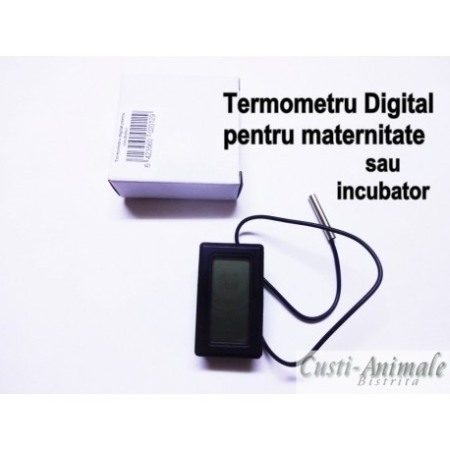 Termometru digital [2]