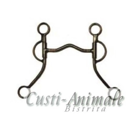 Articole Cai - Echitatie- Sa calarie - Zabaluta Western cai