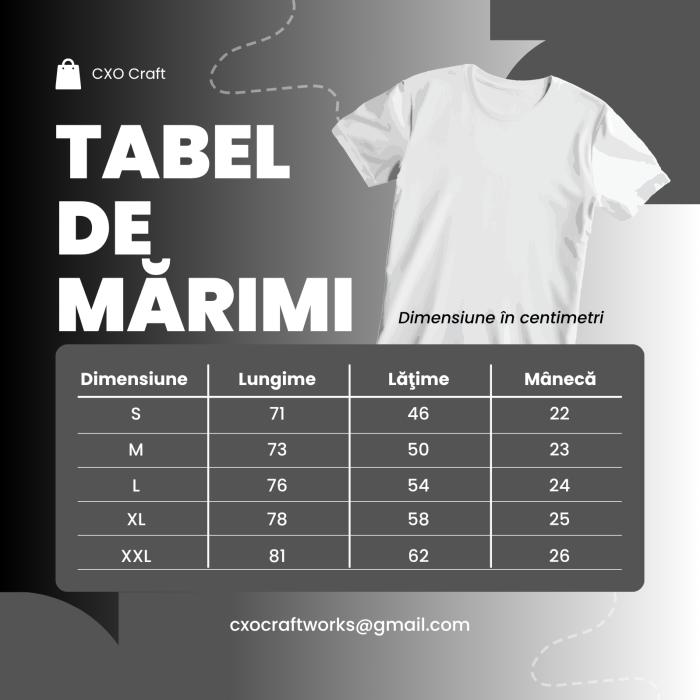 Tricou Polo Pentru Copii si Adolescenti, Bleu Deschis, cu Imprimeu, Liceul Teoretic "Traian Lalescu" [3]