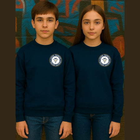 Uniforma Liceul Teoretic Traian Lalescu - Pulover Pentru Adolescenti Cu Broderie, Liceul Traian Lalescu, Bleumarin