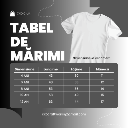 Tricou Polo Pentru Copii si Adolescenti, Bleu Deschis, cu Imprimeu, Liceul Teoretic "Traian Lalescu" [1]