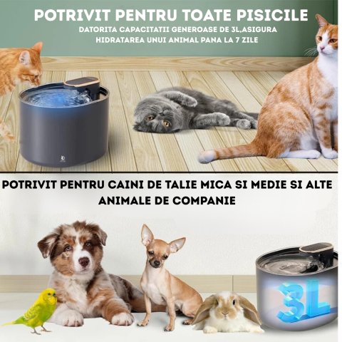 Fantana de Apa pentru Pisici si Caini, DAISMART, Dispenser automat pentru Animale, Filtru de Carbune Activ, Purificare si Filtrare Apa, Indeparteaza Mirosul, Imbunatateste Calitatea Apei, Ultra-Silent [2]