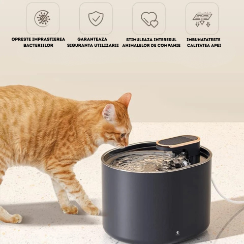 Fantana de Apa pentru Pisici si Caini, DAISMART, Dispenser automat pentru Animale, Filtru de Carbune Activ, Purificare si Filtrare Apa, Indeparteaza Mirosul, Imbunatateste Calitatea Apei, Ultra-Silent [5]