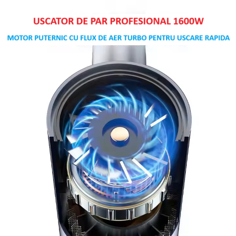 Uscător de păr Daismart, 1600W, tehnologie ionizare, 3 trepte temperatură, argintiu [5]