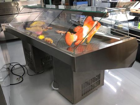 Vitrina frigorifica peste - prezentare [3]