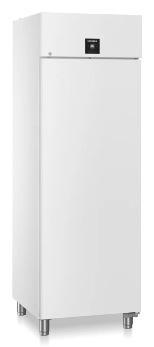 Congelator profesional cu răcire cu aer – BFPvg 6501 001 [2]