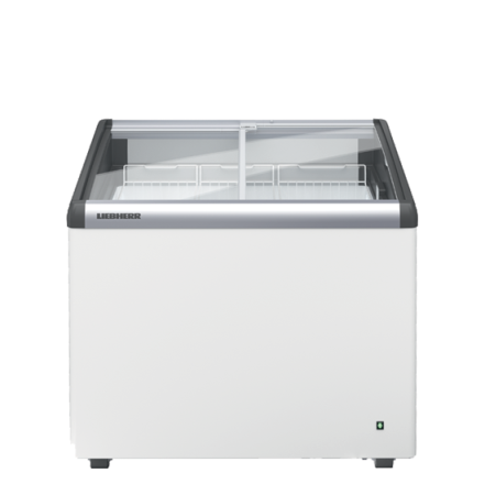 Congelatoare independente - Congelator vertical profesional (upright) – EFI 2153 001