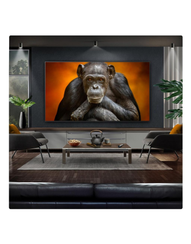 TV - Televizor LG OLED evo G5 OLED77G54LW, 77 inch, 4K Ultra HD, Smart TV, α11 AI Gen2, Dolby Vision, Dolby Atmos, Gallery Design