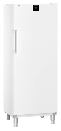 Congelator profesional vertical – FFFsg 6501 001 [1]