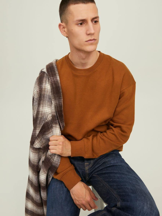 Hanorac fara gluga [3]