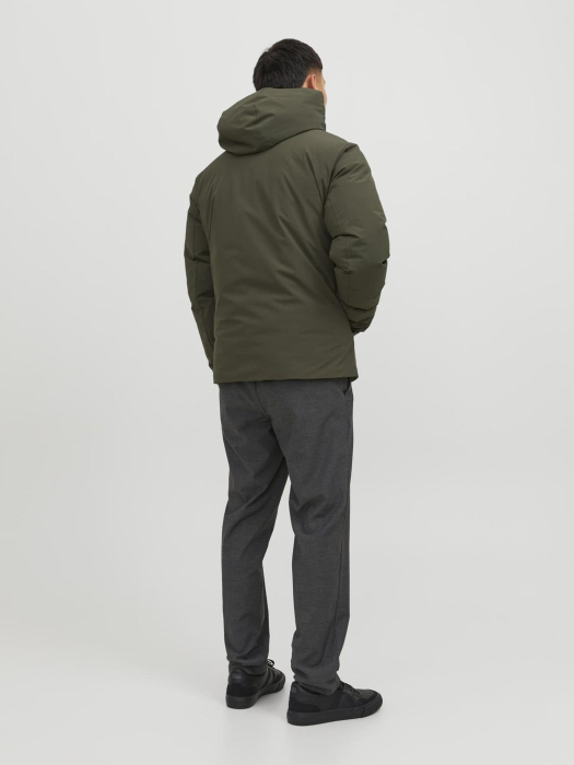 JPRBLAKEEN JACKET - Jachetă de iarnă - grape leaf [3]
