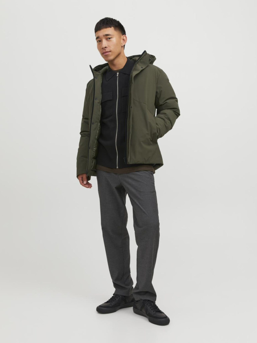 JPRBLAKEEN JACKET - Jachetă de iarnă - grape leaf [2]