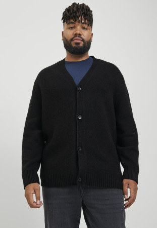 CARDIGANE - JOROLLIE - Cardigan - black