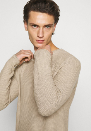 JPRBLUCARLOS CREW NECK - Pulover - Bej [1]