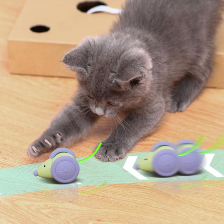 Automata Egér Játék Macskáknak, Akadálykerüléssel és Véletlenszerű Mozgással, Nagy Kerekekkel, RGB LED Farokkal, USB-C Töltés, Interaktív Zöld Kialakítás [1]