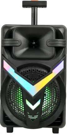 Hangszórók - Vezeték nélküli hordozható hangszóró 8 hüvelykes mélynyomóval, 250W PMPO, szinkronizált RGB LED fényekkel, mikrofonnal, Bluetooth, USB, TF és AUX csatlakozással – ideális bulikhoz, karaoke-hoz és szab