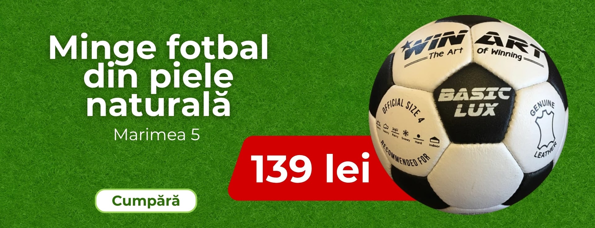 Minge fotbal Basic Lux