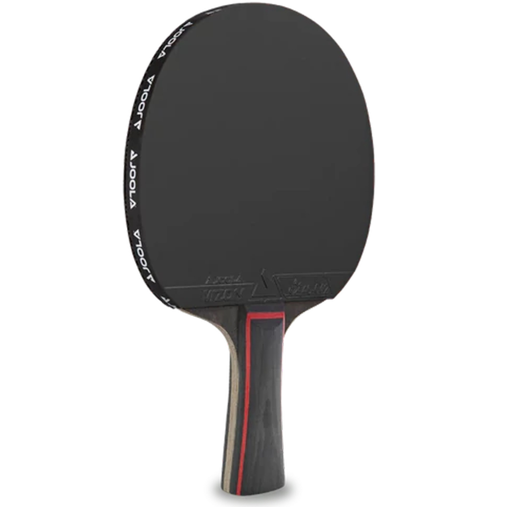 Paleta tenis de masa  MATCH PRO ITTF [3]