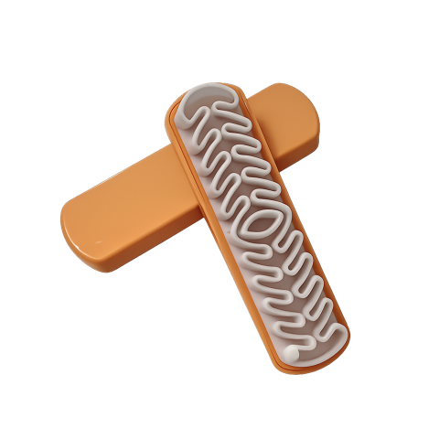 Curatare si Protectie - Perie din silicon pentru curatare incaltaminte din piele intoarsa