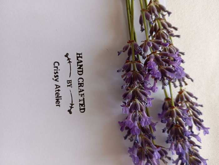 Set bijuterii Perle Swarovski aurii [7]