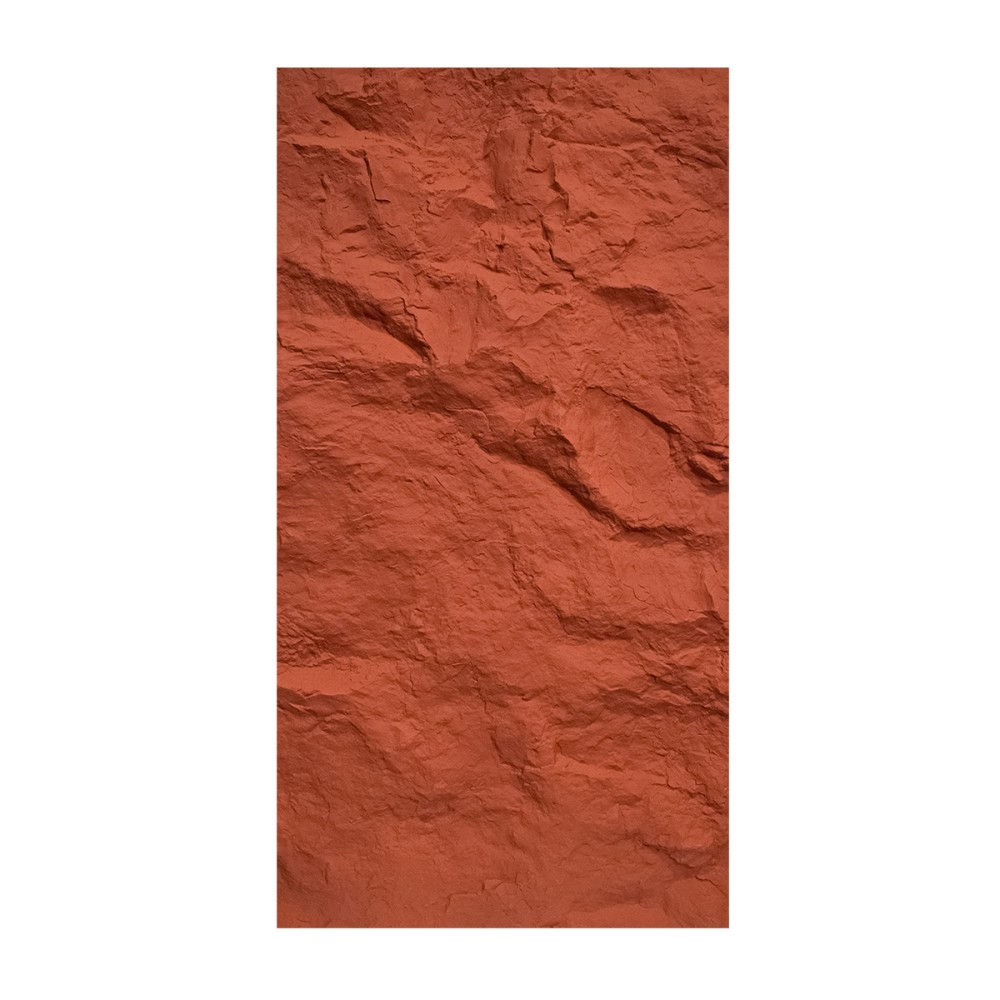 Set 2 × Panou Decorativ 3D Naimeed D5762 - Design Realist - 1200×600×60mm - Rosu [5]
