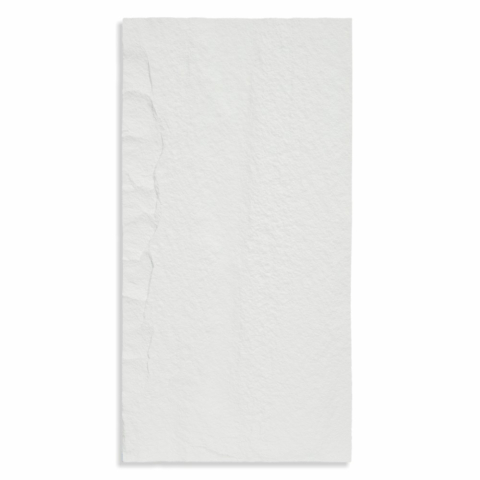 Set 4 × Panou Decorativ 3D Naimeed D5738 - Design Elegant - 1200×600×30mm - Alb [4]