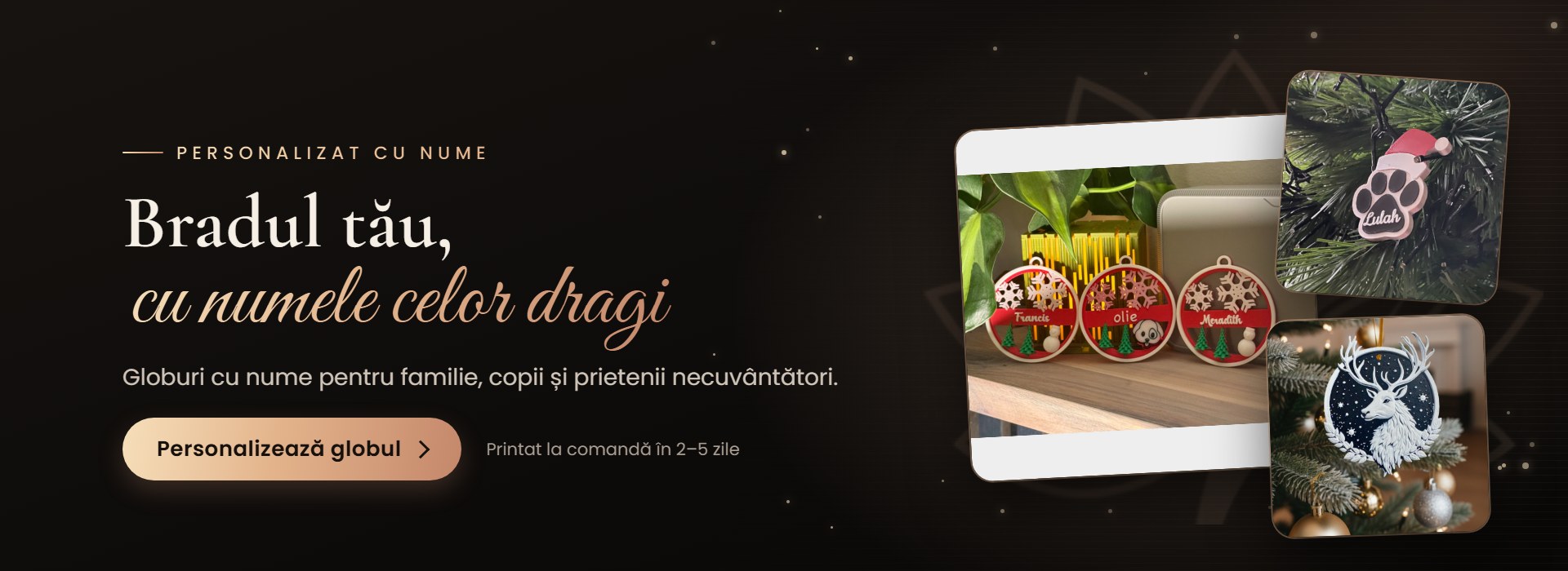 Carusel 1 Glob personalizat - desktop