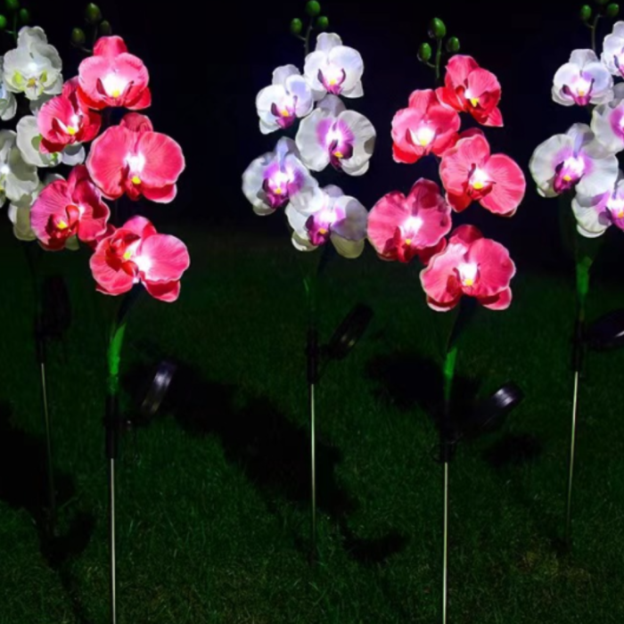 Set 4 x Lampi Solare Orhidee cu LED - Decor Romantic pentru Gradina, Tarus si Panou Solar [4]
