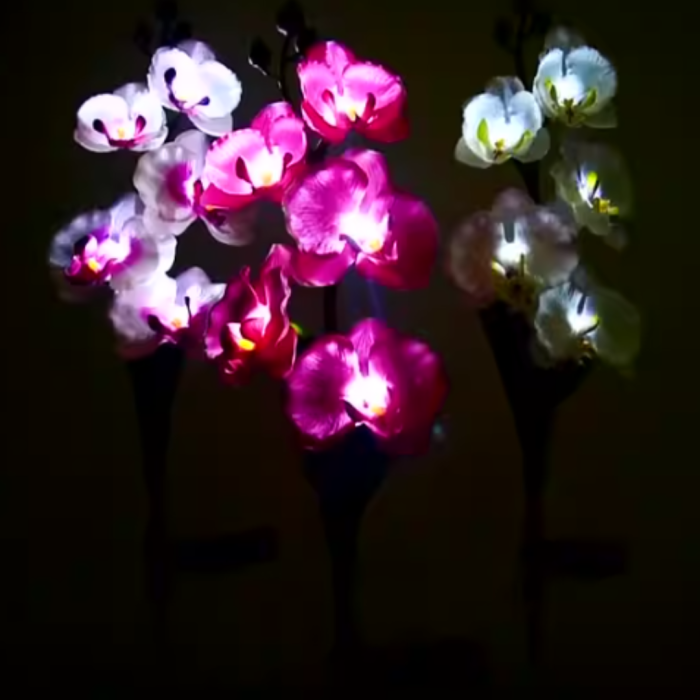 Set 4 x Lampi Solare Orhidee cu LED - Decor Romantic pentru Gradina, Tarus si Panou Solar [3]