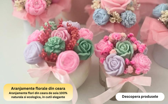 Banner Principale #1