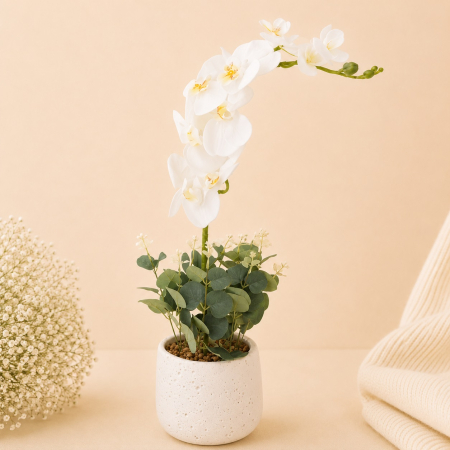 Aranjamente si decoratiuni florale - Ghiveci alb din ceramica cu orhidee artificiala alba