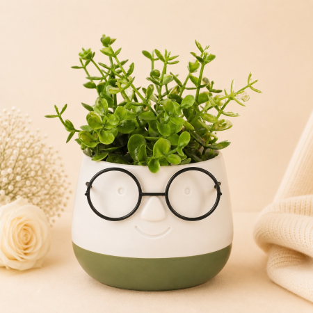 Aranjamente si decoratiuni florale - Ghiveci cu forma de chip si ochelari cu planta verde din plastic
