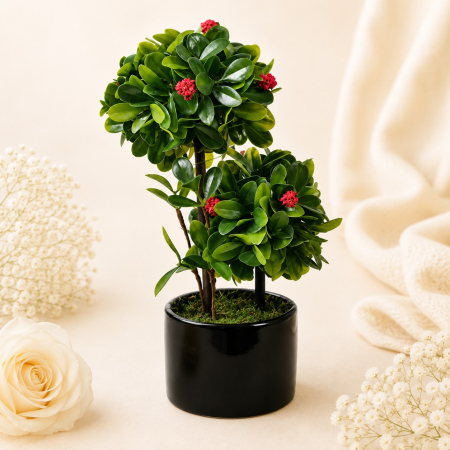 Aranjamente si decoratiuni florale - Ghiveci decorativ cu bonsai cu flori rosii