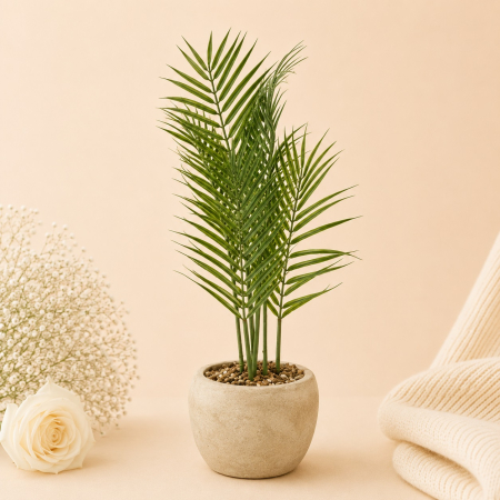 Aranjamente si decoratiuni florale - Ghiveci decorativ cu feriga artificiala