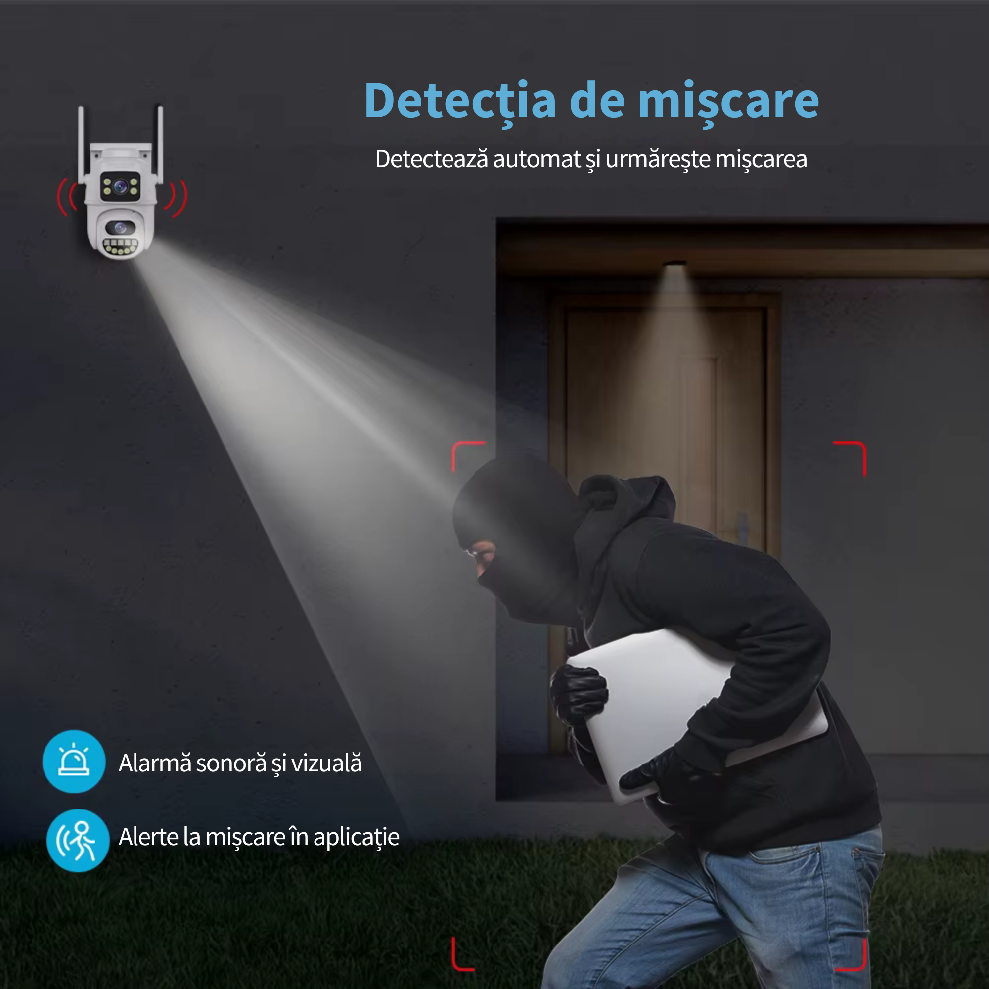 Funcție audio bidirecțională