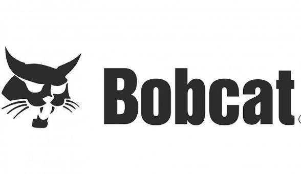Bobcat