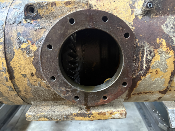 Punte Spate 117-329, X4 - Cat [2]