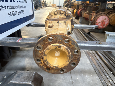 Punte Spate 117-329, X4 - Cat [3]