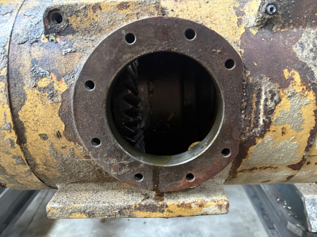 Punte Spate 117-329, X4 - Cat [1]