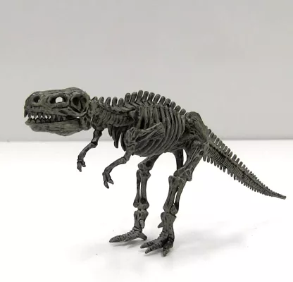 Kit excavare 4 dinozauri [3]